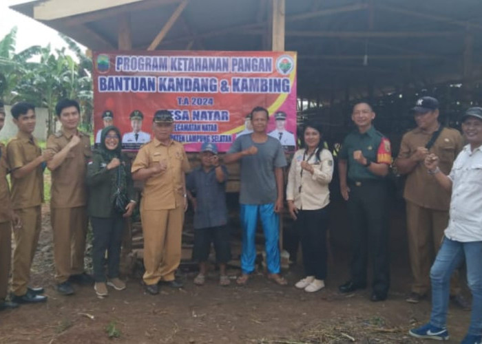 Desa Natar Kecamatan Natar Anggarkan DD Program Ketahanan Pangan Rp167, 320, 000 Untuk Berternak Kambing 
