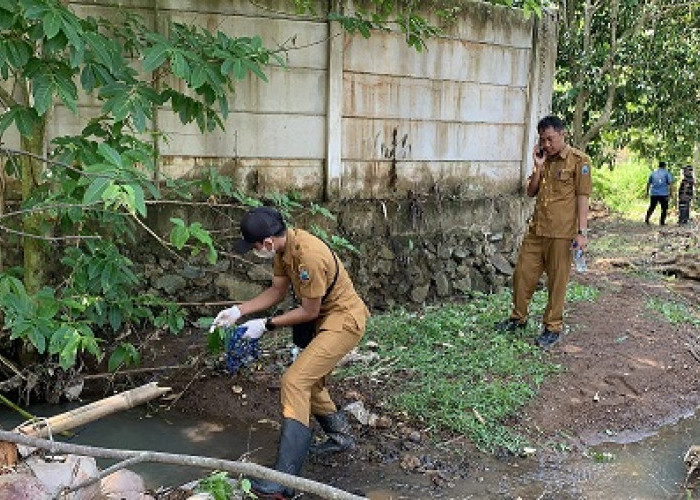 DLH Ambil Sampel Air yang Tercemar Limbah