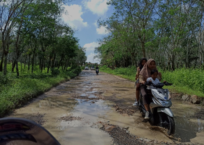 Misi Hamdani cs Perbaiki Jalan Rusak Tanjungsari