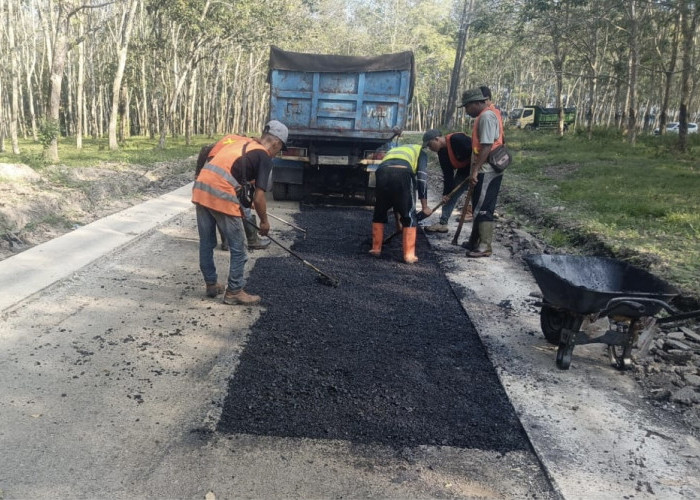 Pembangunan Jalan Ruas Sukamarga-Bulok Dikebut, Progresnya Hampir 90 persen