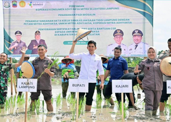 Penanaman Padi Biosalin Jadi Program Strategis, Perkuat Sektor Pertanian dan Ekonomi Masyarakat