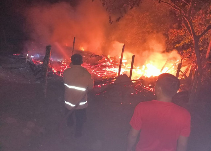 Kebakaran di Pemanggilan, Dua Ekor Sapi Terpanggang Hidup-hidup Kerugian Capai Rp 60 Juta