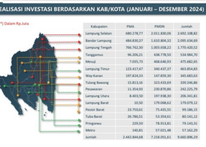 Lampung Selatan Jadi Raja Realisasi Investasi se-Provinsi Lampung Tahun 2024