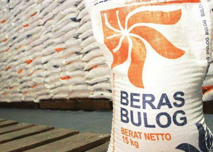 Tiga Bulan Kedepan Stok Beras Aman