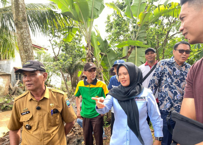 Respon Cepat Ketua DPRD Lampung Selatan Lakukan Normalisasi Sungai Penyebab Banjir di Hajimena Natar