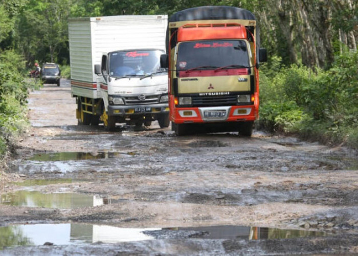 Pemkab Lamsel Segera Bangun Jalan 500 Meter di Kertosari Tanjungsari 