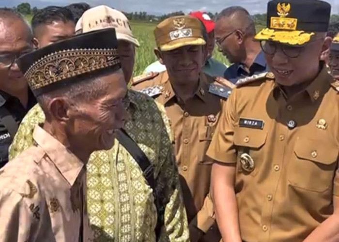 Tegas, RMD Minta Perusahaan Swasta Aktif Serap Gabah