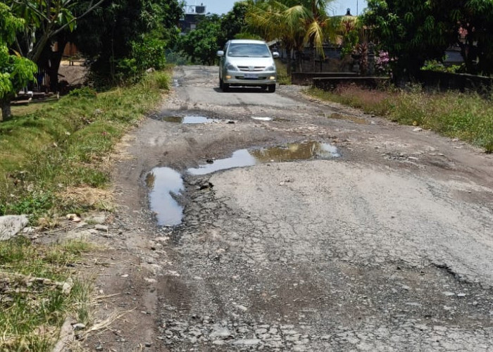 3 Kilometer Jalan Poros Kabupaten di Desa Legundi, Kecamatan Ketapang Butuh Perhatian Pemkab Lampung Selatan