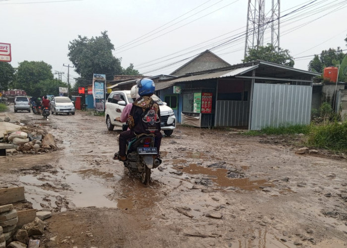 Sempat Viral TikToker Mandi Lumpur di Jalan Rusak Kecamatan Natar, Kondisinya Kini Makin Parah 