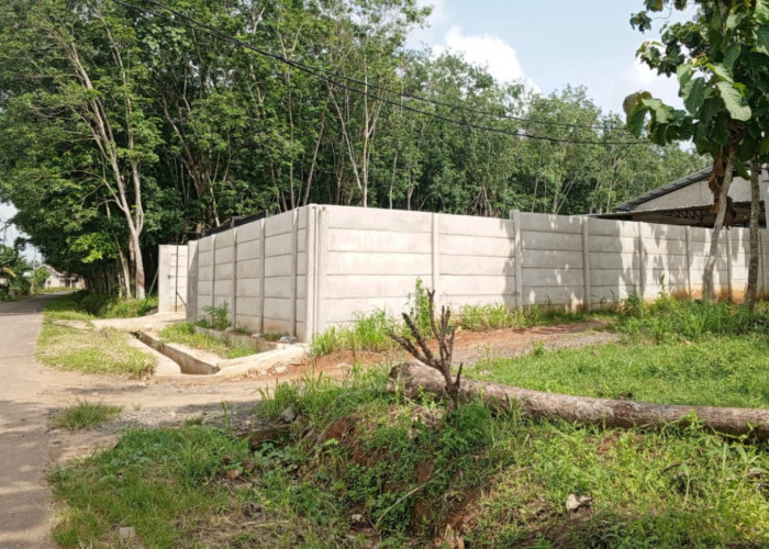 Pengusaha Ayam Desa Krawang Sari Diduga Tidak Kantongi Izin, Masyarakat Hanya Kebagian Bau Busuk