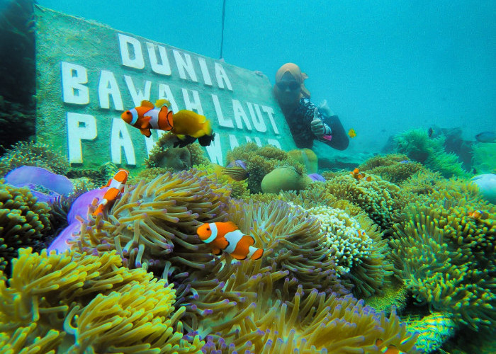 Melepas Penat di Taman Nemo Pulau Pahawang, Cuma 1 Jam Dari Kota Bandar Lampung