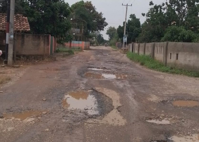 Banyak Jalan Baru Bangun Sudah Rusak di Lamsel, Warga Minta Jalan Sudah Lama Rusak Diperbaiki Juga 