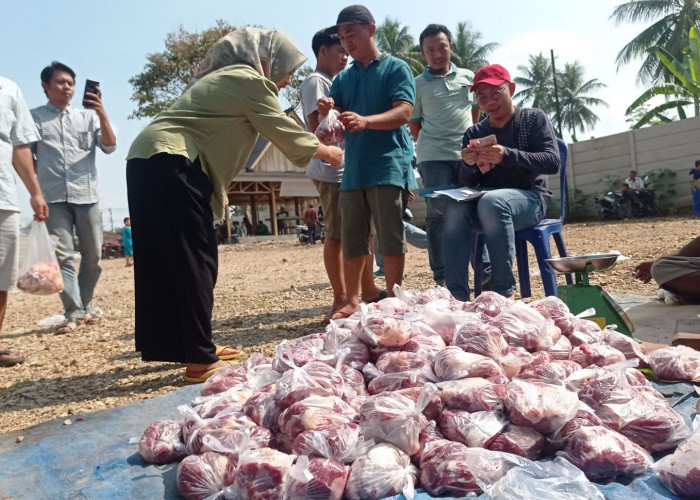 Erma Yusneli Bagikan Ribuan Paket Daging Kurban