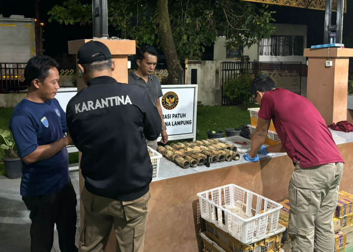 Pasca Idul Adha, Karantina Bakauheni Kembali Amankan Ratusan Burung Tanpa Dokumen  