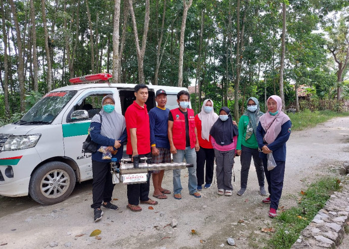 Dinkes Lamsel Gerak Cepat, Tekan Peningkatan Kasus DBD