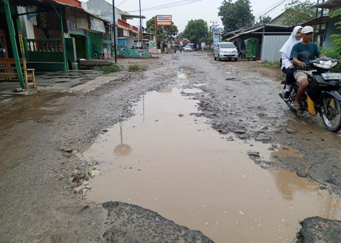Dinas PUPR Lamsel Tidak Becus Urus Jalan Poros di Kecamatan Natar