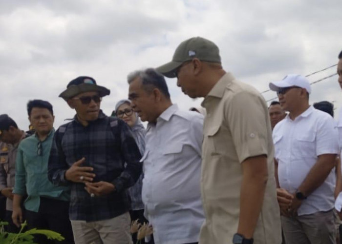 Lahan Padi 4.000 Hektar Terendam Banjir, RMD dan Ahmad Muzani Prioritaskan Dua Bantuan