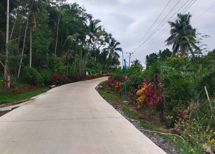 Pembangunan Jalan Utama Rampung, Masyarakat Way Kalam: Terima Kasih Pak Bupati 