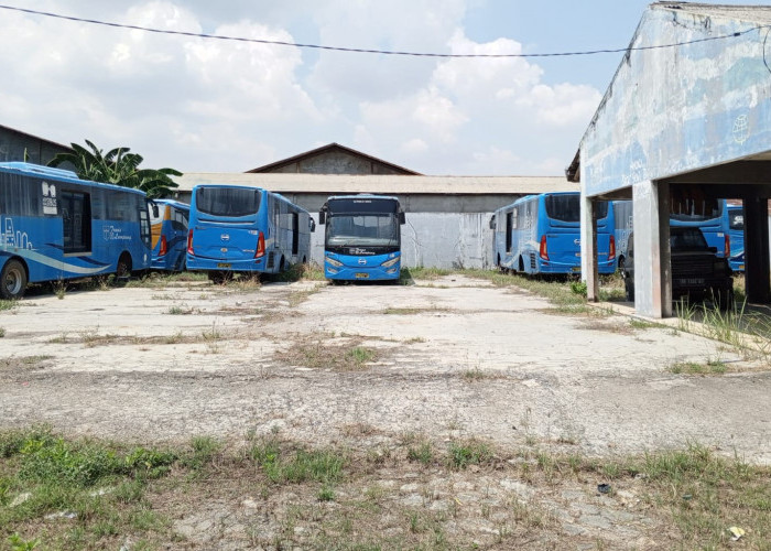 Puluhan Mobil Bus Trans Lampung Milik Pemerintah Kondisinya Terbengkalai 