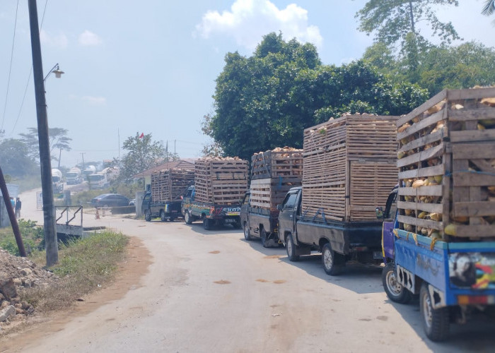 Dihantui Polusi, Warga Desak PT Woongsol Berhenti Produksi