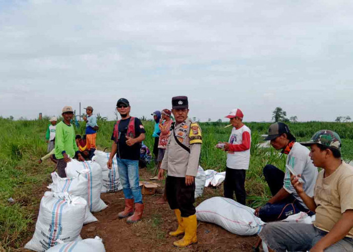 Debit Air Sungai Way Sekampung Terus Bertambah, Warga Desa Bandar Agung Bangun Tanggung Kantong tanah