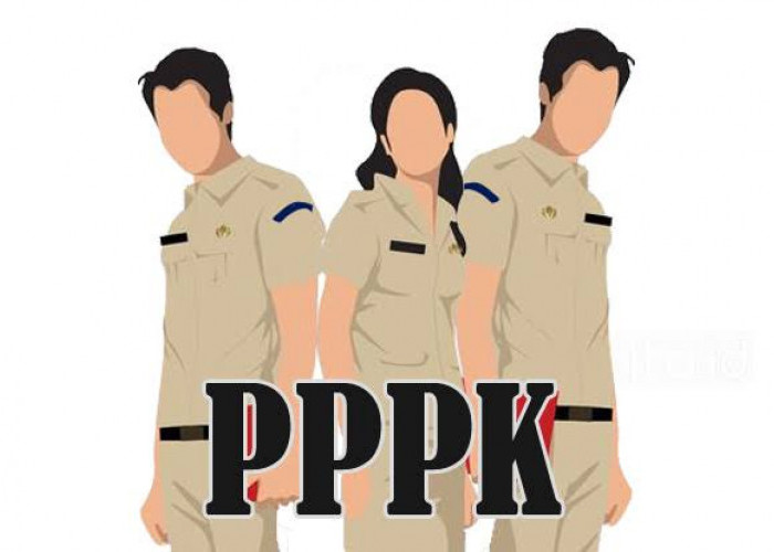 PPPK 150, CPNS 0