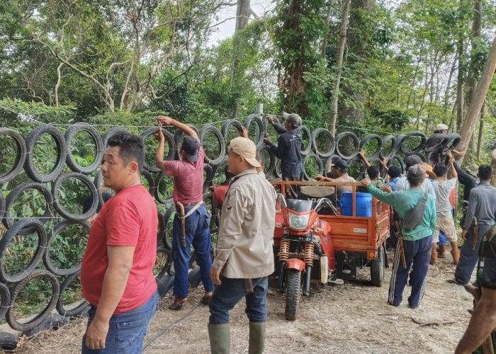 Kolaborasi Pemdes - Katar Way Kalam, Bikin Pagar Pembatas dari Ban