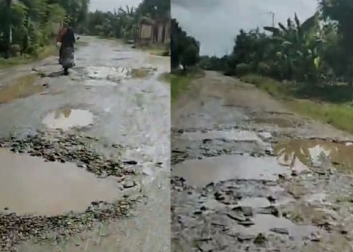 Jalan Milik Kabupaten Lamsel di Kecamatan Palas Rusak Parah, Warga Sebut Sudah 9 Tahun Tida Diperbaiki 