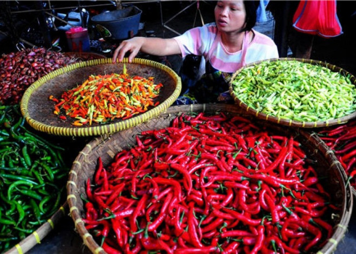 Harga Cabai di Lampung Selatan Tembus Rp110 Ribu Perkilogram