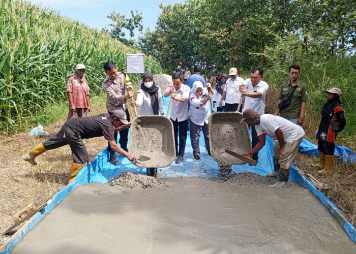 Gunakan DD Rp74, 892, 000 Desa Rulung Helok Bangun Jalan Rabat Beton 100 Meter 