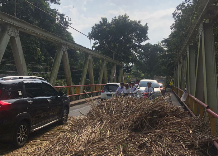 Over Kapasitas, Tebu Tumpah Dijalan Sebabkan Kemacetan Panjang