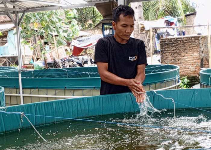 Ketua DPRD Lamsel & Camat Natar Apresiasi Ketahanan Pangan Budidaya Ikan Milik Suprojo di Desa Candimas 