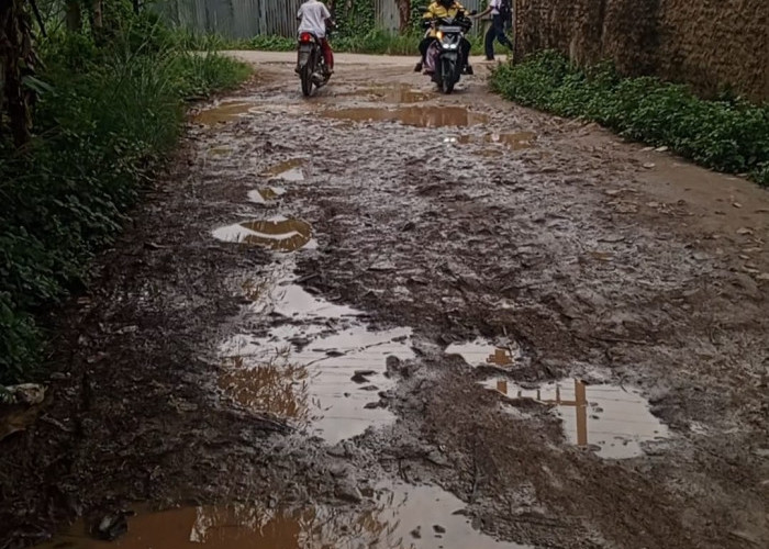 Punya Bandara Internasional, Penyumbang PAD Terbesar, Kondisi Jalannya Seperti Negara Belum Merdeka 