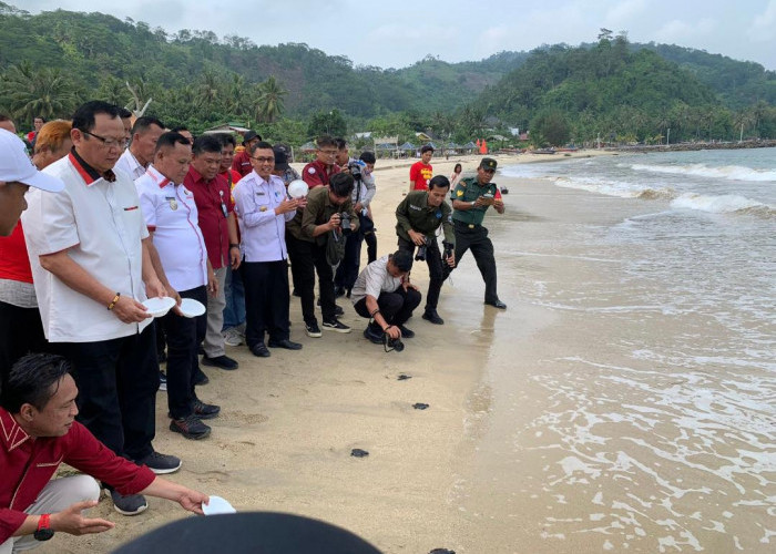 Jaga Ekosistem Laut, Kurangi Botol Plastik