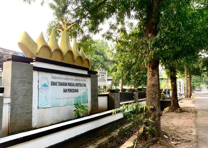 Setelah Bibit Tidak Menjabat