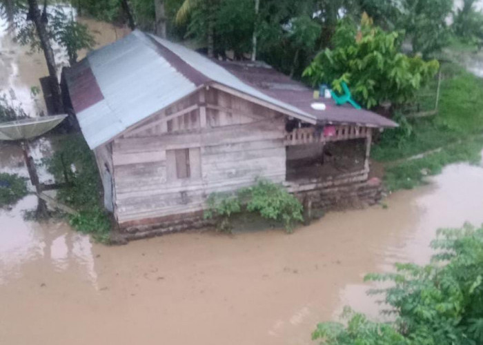 Aliran Way Pedada Pesisir Barat Meluap 10 Rumah Terendam Banjir 