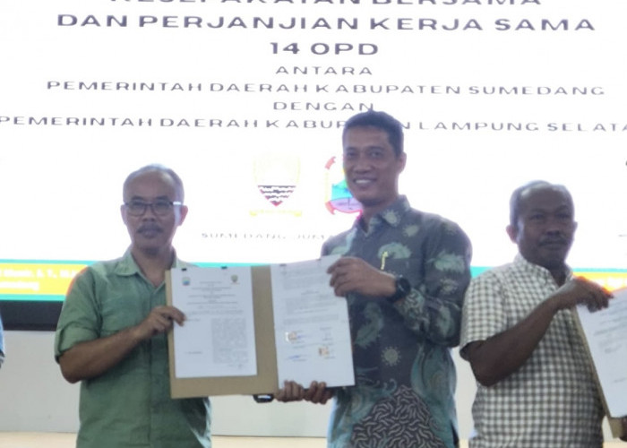 DPMPPTSP Lampung Selatan Selangkah Menuju E-governance