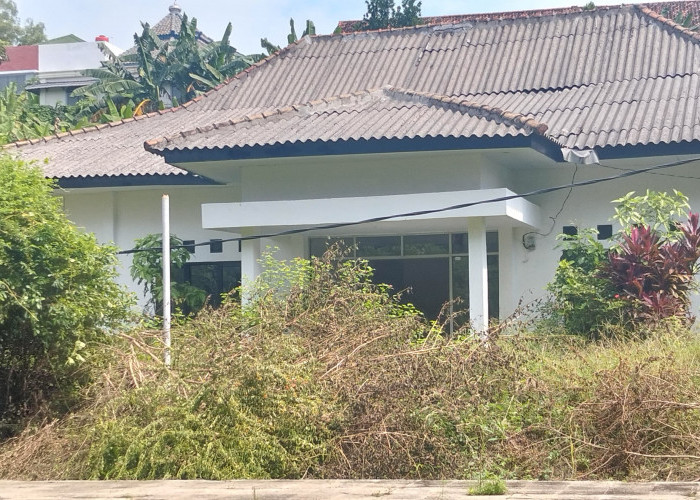 Empat Bangunan Eks Kantor Dinas di Lingkungan Pemkab Lamsel Terbengkalai Seperti Rumah Hantu 