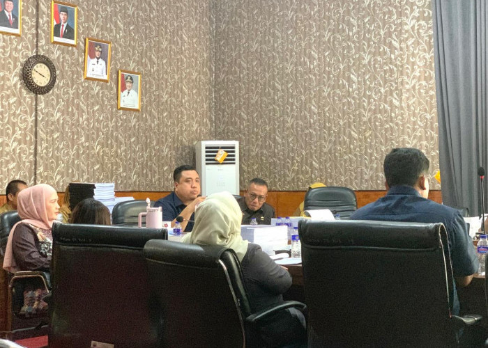 Banggar Minta Honorer Non Database Tidak Dirumahkan, Begini Respons TAPD