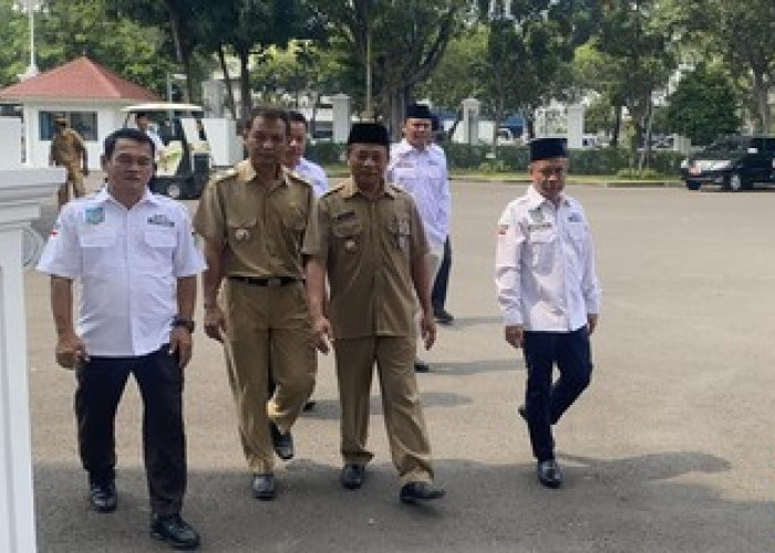 Kades Bahas Masa Jabatan saat Bertemu Jokowi di Istana