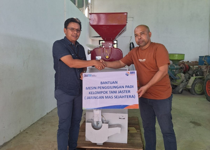 Perkuat Ketahanan Pangan dan Gizi Nasional, BRI Salurkan Pembiayaan Kepada Koperasi Penyuplai Bahan Pangan MBG