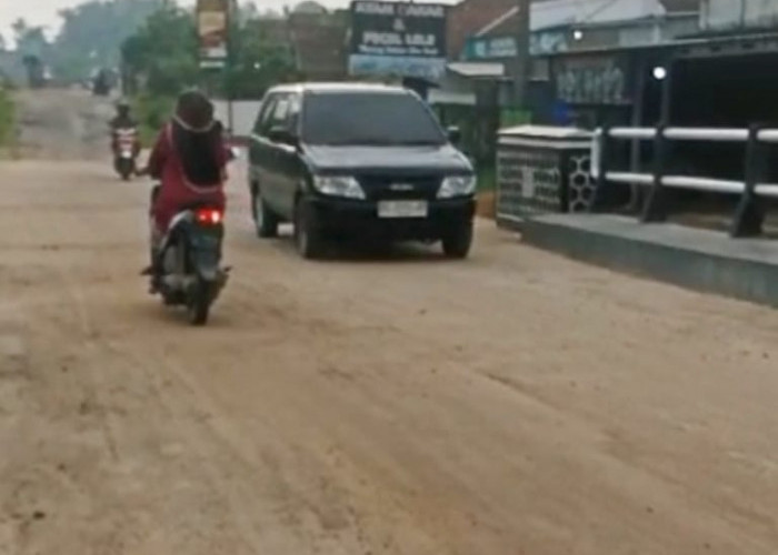 Jembatan Penghubung Antar Desa di Desa Mandah Dibuka, Warga : Terimakasih Ibu Ketua DPRD dan Pemerintah Lamsel