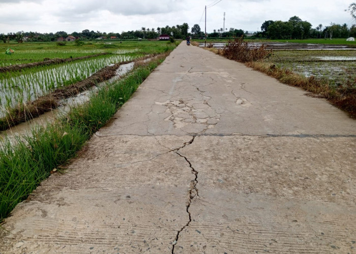 Banyak Proyek Gagal di Lampung Selatan, Anggota Komisi III DPRD : Ini Parah Ini Kak!