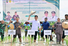 Penanaman Padi Biosalin Jadi Program Strategis, Perkuat Sektor Pertanian dan Ekonomi Masyarakat