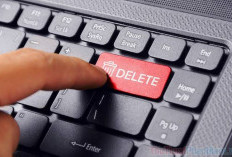 Kabid Diskominfo Sebut Frayer Lagi Perbaikan, Gangguan Kok Cuma Satu Unggahan