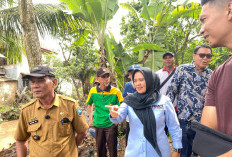 Respon Cepat Ketua DPRD Lampung Selatan Lakukan Normalisasi Sungai Penyebab Banjir di Hajimena Natar