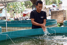 Ketua DPRD Lamsel & Camat Natar Apresiasi Ketahanan Pangan Budidaya Ikan Milik Suprojo di Desa Candimas 