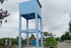 Pekerjaan Sumur Bor Milik Pemda Lampung Selatan di Desa Way Sari Dianggap Warga Proyek Siluman