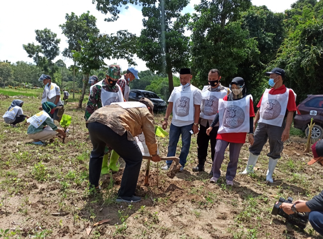 Desa Sukanegara Punya Wisata Kampung Kambing