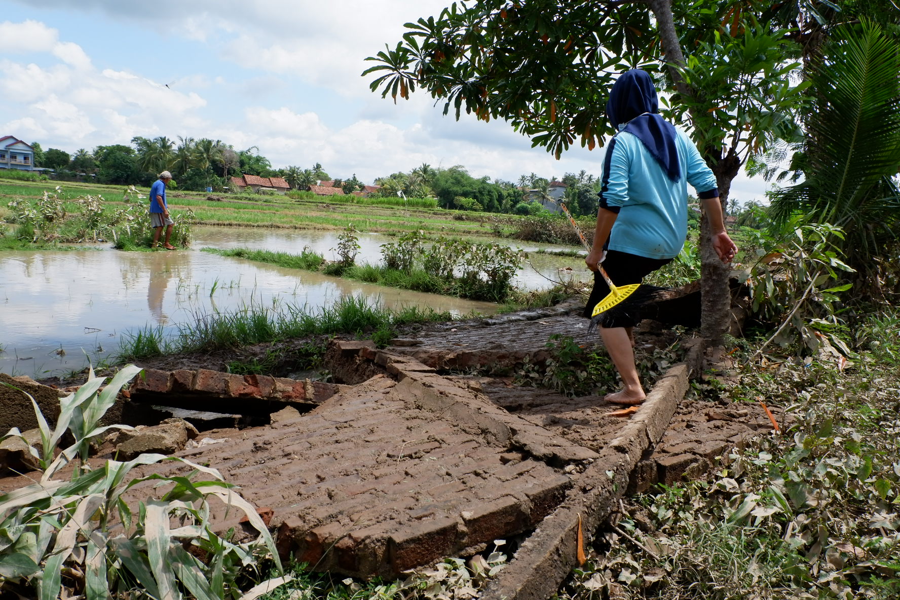 Ribuan Rumah di Pesawaran Terendam Air